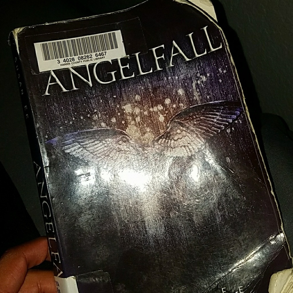 Angelfall book